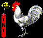 Image of chicken.gif